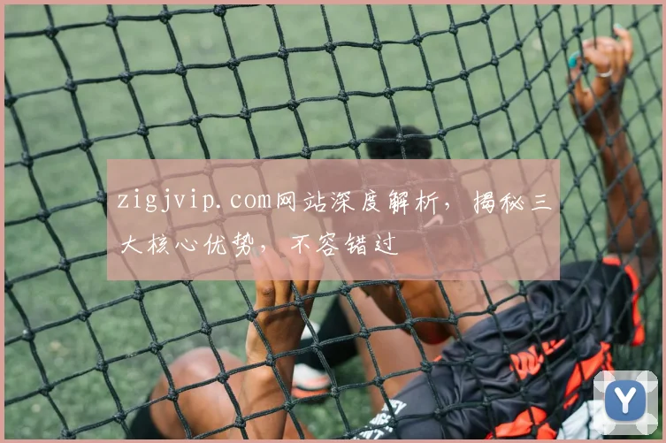 zigjvip.com网站深度解析，揭秘三大核心优势，不容错过