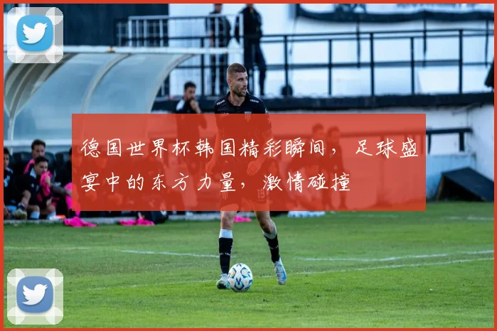 德国世界杯韩国精彩瞬间，足球盛宴中的东方力量，激情碰撞