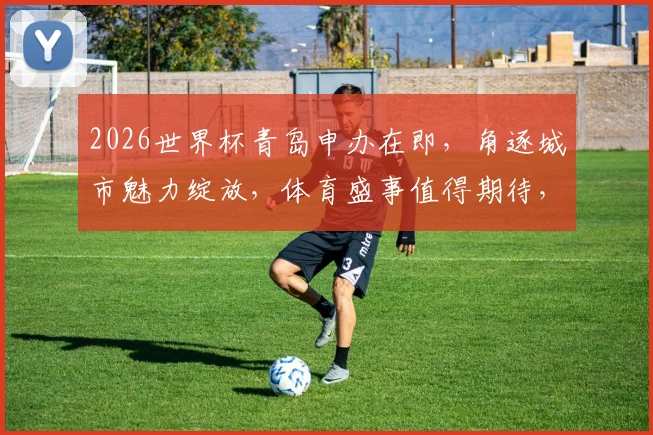 2026世界杯青岛申办在即，角逐城市魅力绽放，体育盛事值得期待，