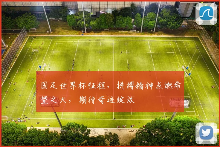 国足世界杯征程，拼搏精神点燃希望之火，期待奇迹绽放